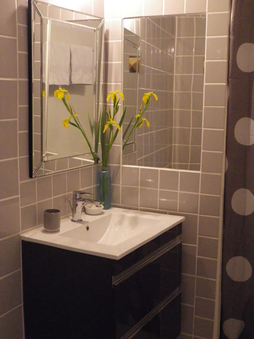 Une salle de bain privée