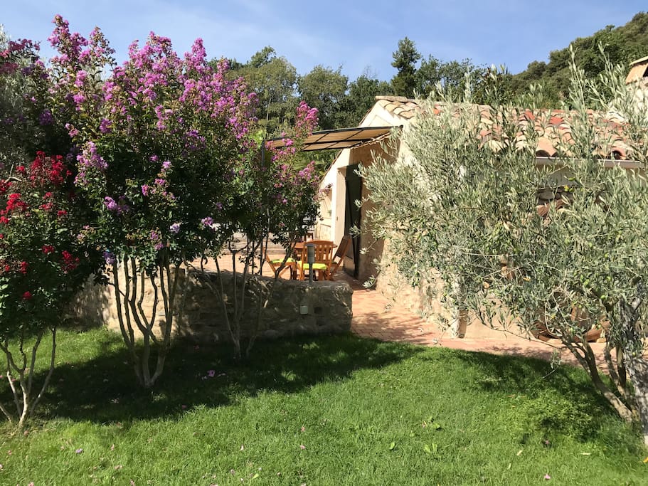 le jardin