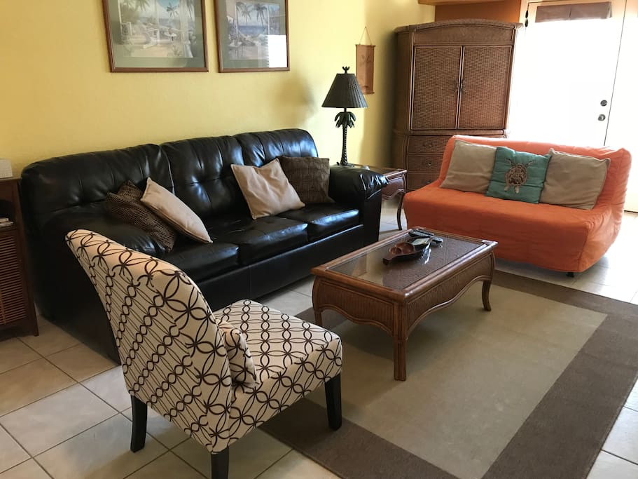 Living room with queen sleeper sofa and futon.
