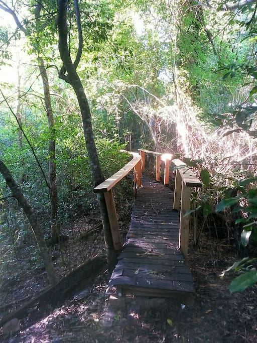 Bridge leading to cabin