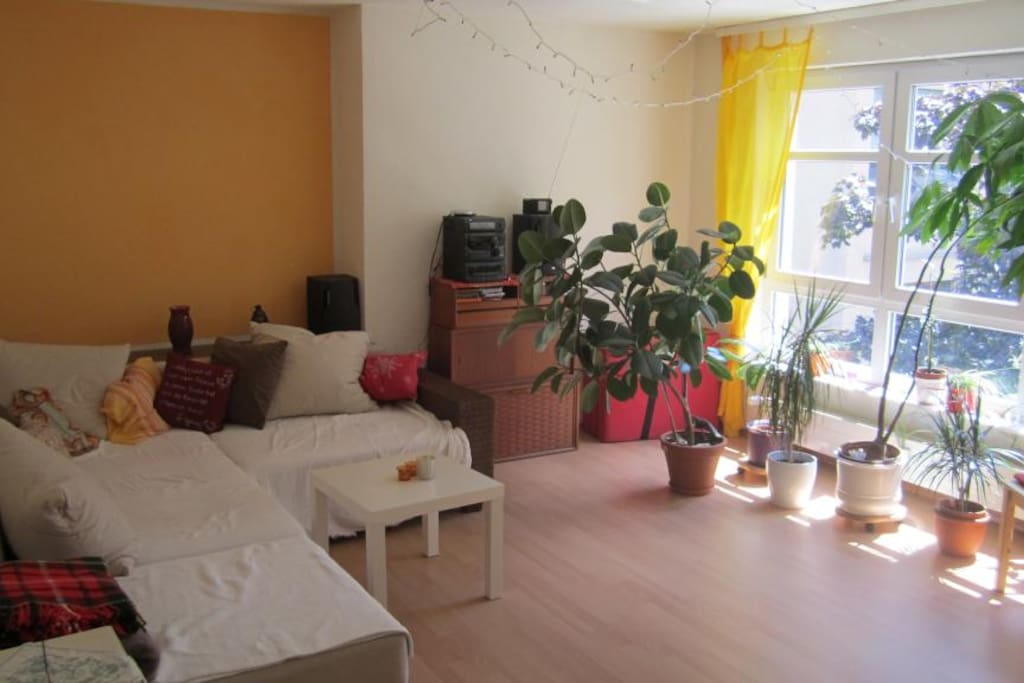 living lounge