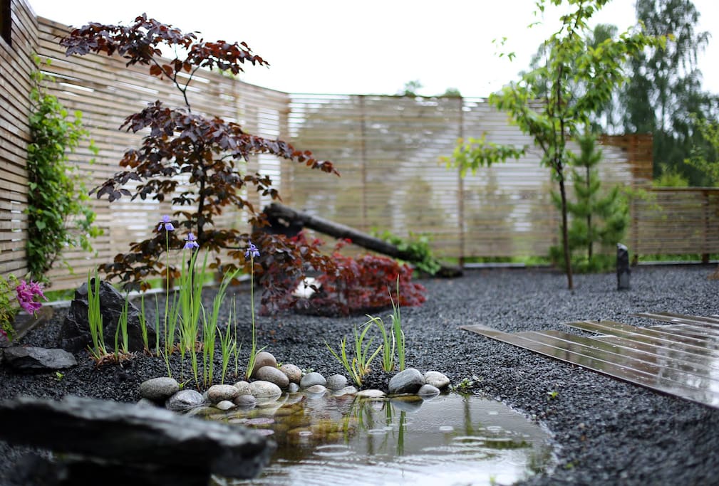 Garden pond with gold fish and lilies.