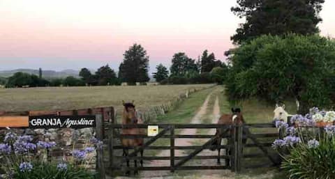Dream Farm in Pueblo Edén