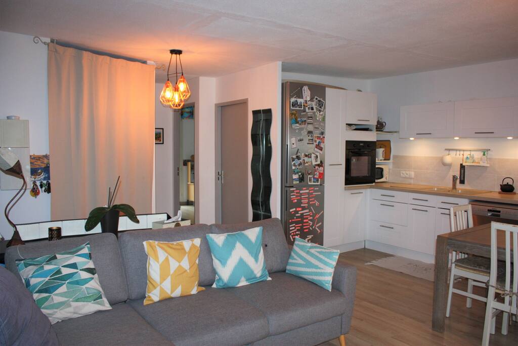 Salon, cuisine et espace repas