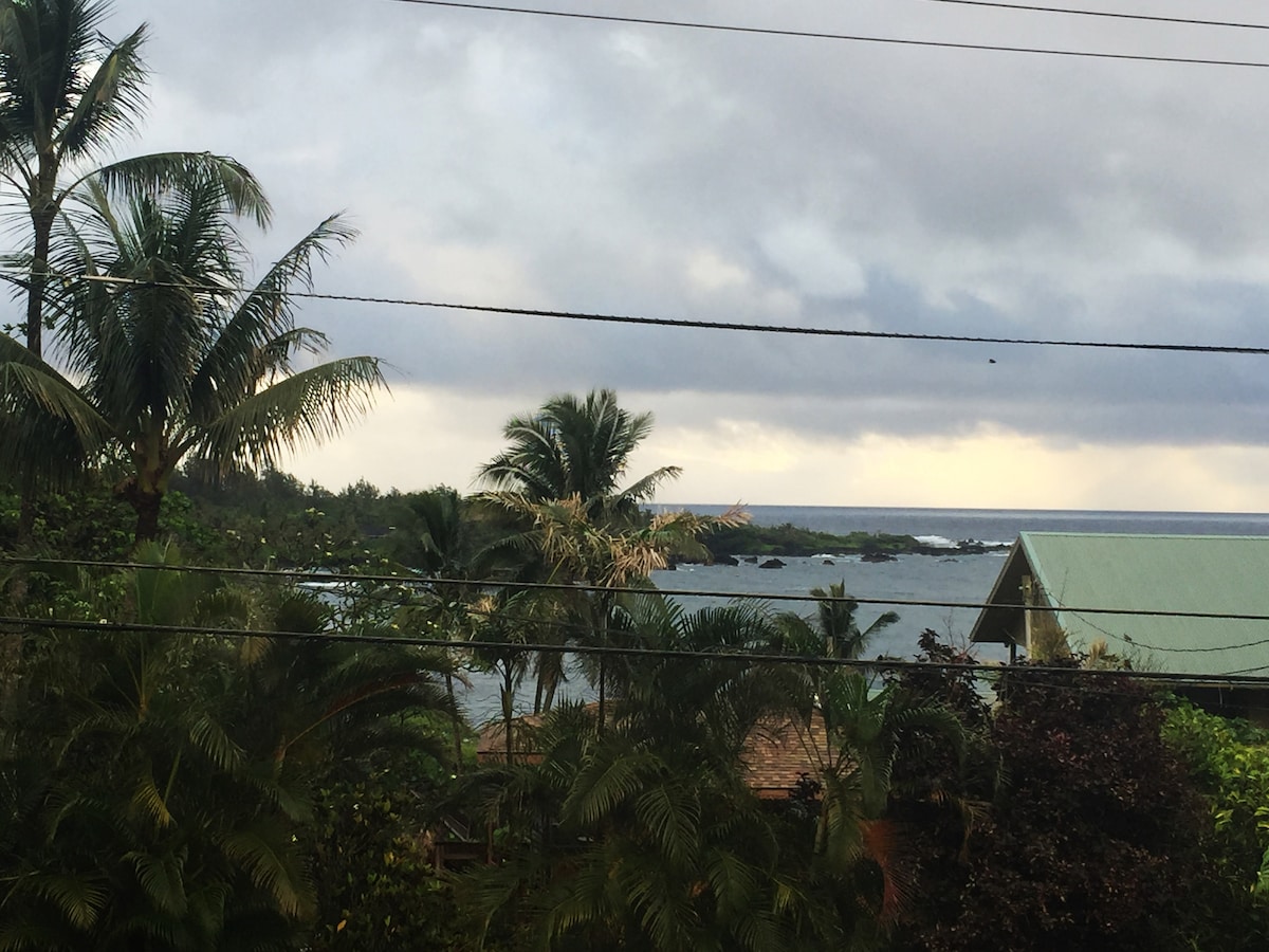 A view of Hana Bay is framed by lush tropical vegetation, with palm trees in the foreground. The ocean stretches towards the horizon under a textured sky, where clouds hint at the presence of sunlight filtering through. A nearby building with a green roof is visible to the right.