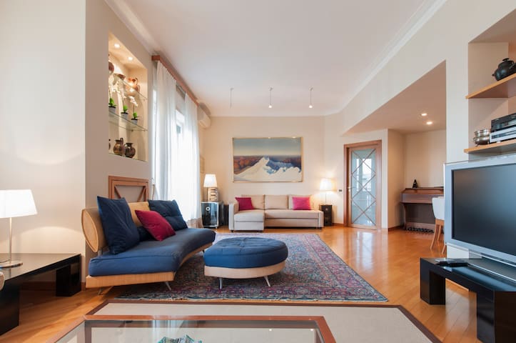 Large and elegant apartment in the city center