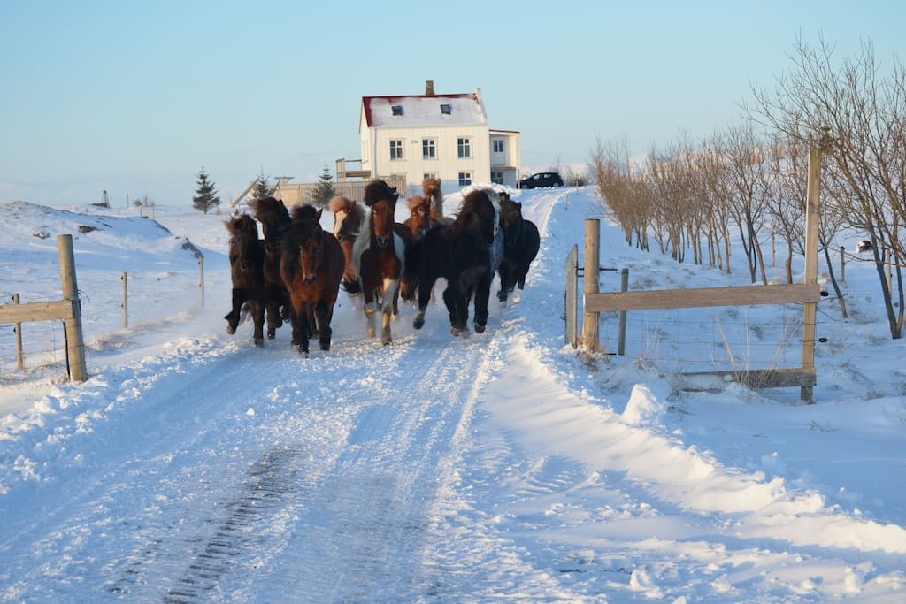 Grímarsstaðir over the winter time