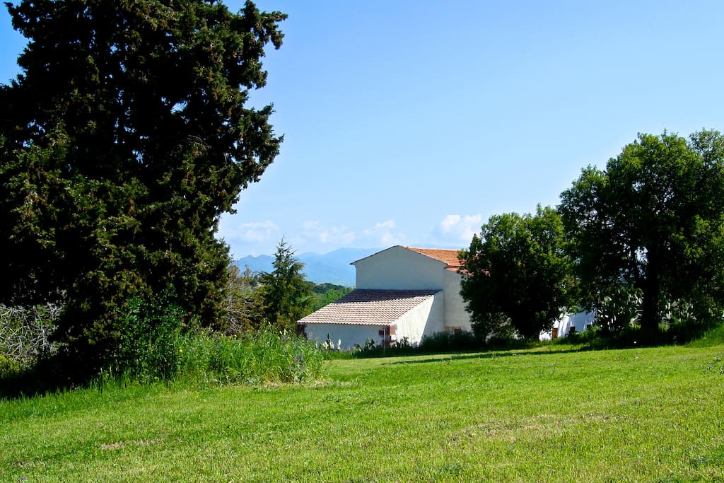 IL GRANAIO VILLA AND YOUR GARDENS