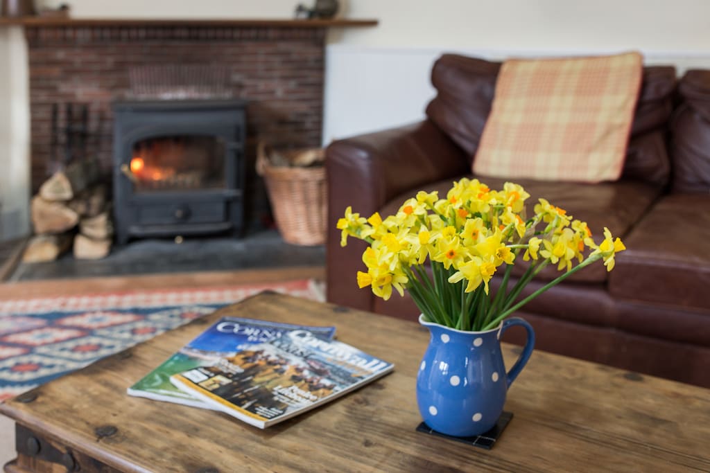 Albion Cottage cosy living room and log fire