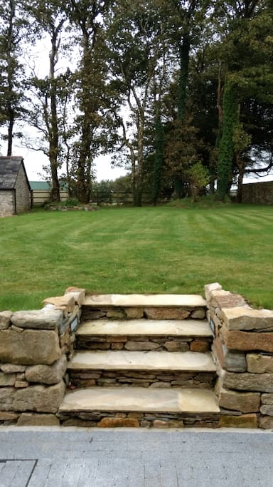 Back garden
