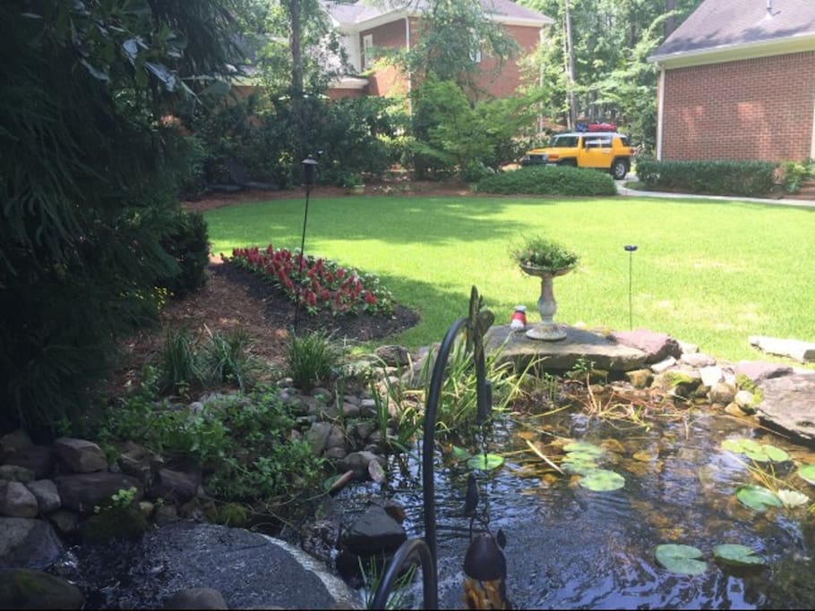 Water Feature