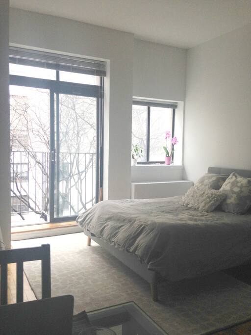 Balcony facing a tree lined street, huge windows with venetian blinds.