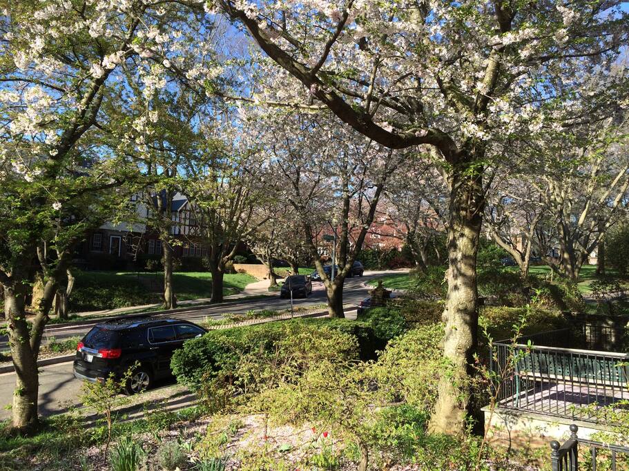 View from the front steps