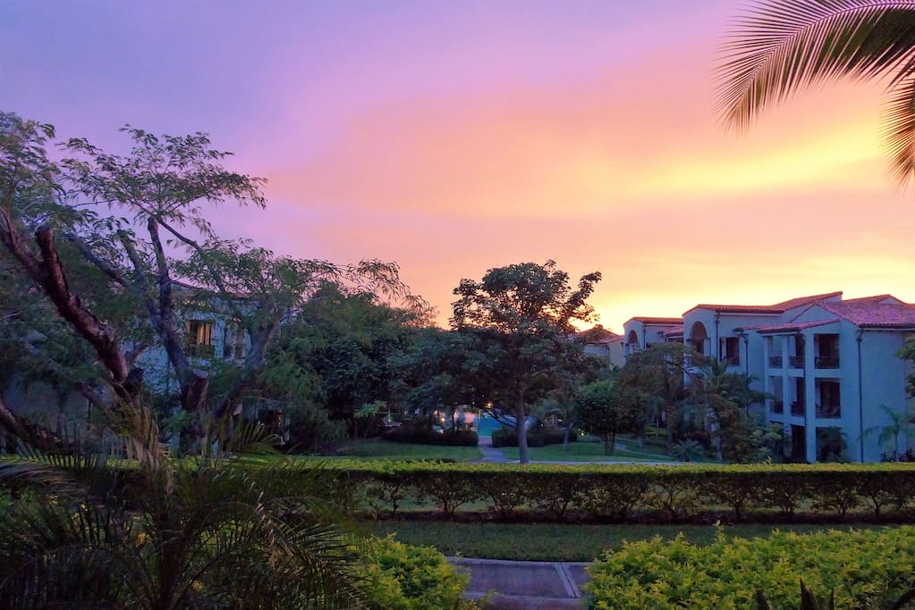 Backyard Sunset