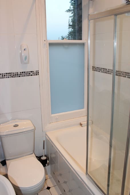 private bathroom facilities with shower over bath