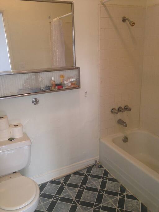 Bathroom has shower and toilet.