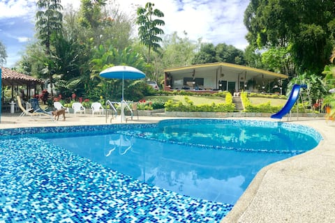 The Hummingbird Gardens - Pereira, Risaralda