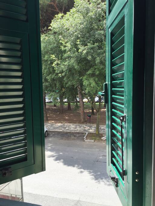 La pineta dalla finestra della camera da letto
