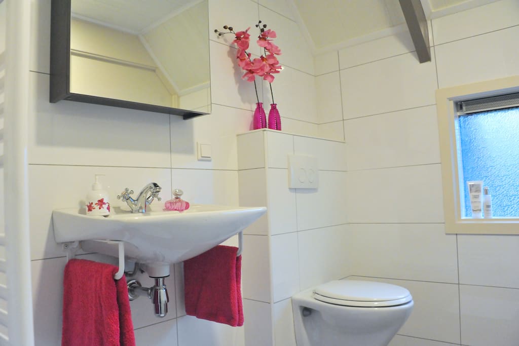 Badkamer beneden met toilet