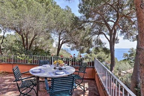 The House "La Terrazza dell'Elba"
