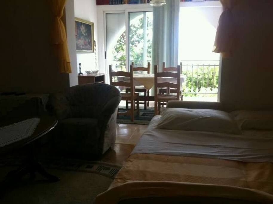 Apartment A2, living room and kitchen