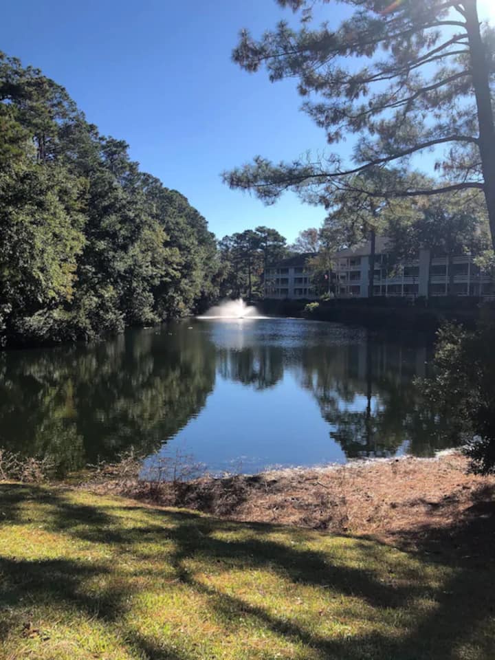 Hilton Head Holiday Rentals & Homes Hilton Head Island, SC Airbnb