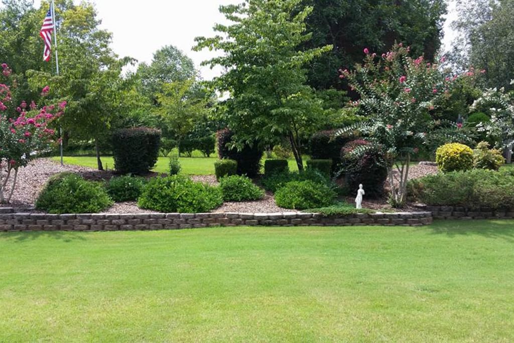Back yard
