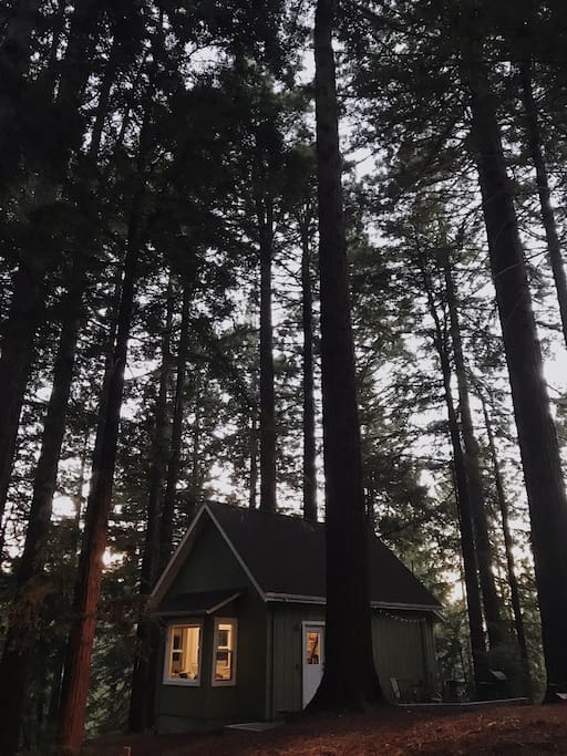 Airbnb by night