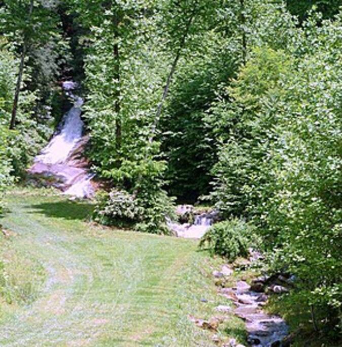 Waterfall flowing into the creek