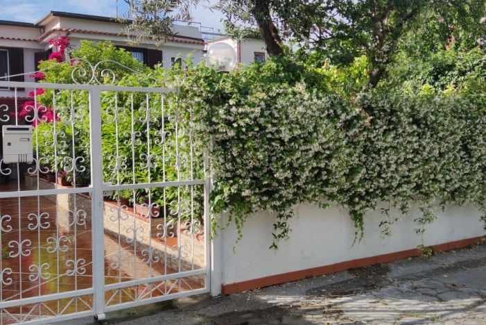 A gated entrance is adorned with lush greenery and flowering vines, creating a natural frame for the entryway. The patterned iron gate complements the vibrant plants and adds a welcoming touch to the exterior of the property.