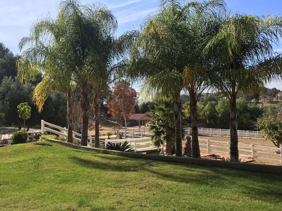 This beautiful horse property with gate is sitting on 2.5 acres land.