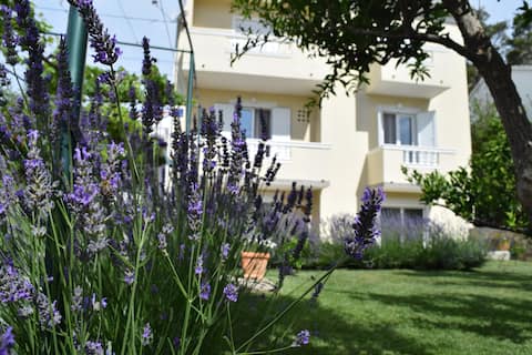 Successful Airbnb property: APARTMAN BRANKA in Banjol