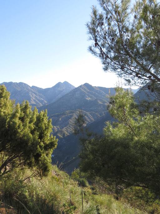 Trek and walk with us through these beautiful mountains right on your doorstep