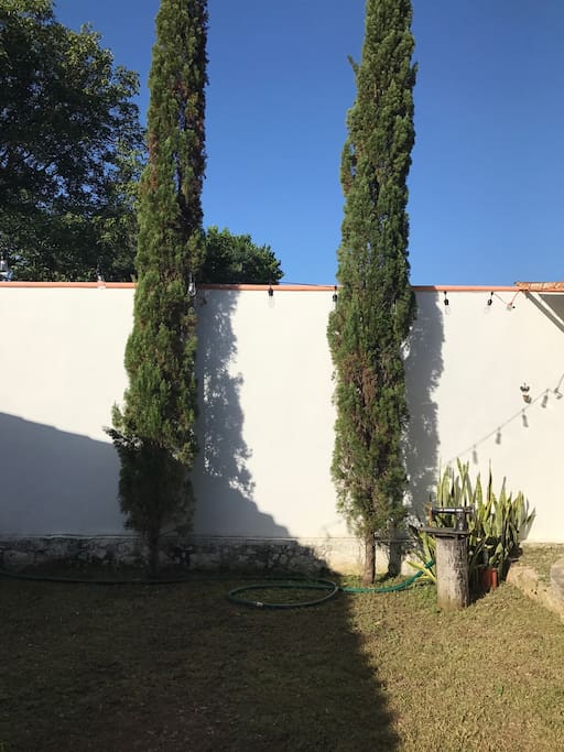 En las áreas verdes, nos acompañan 2 hermosos Pinos que le dan belleza al lugar