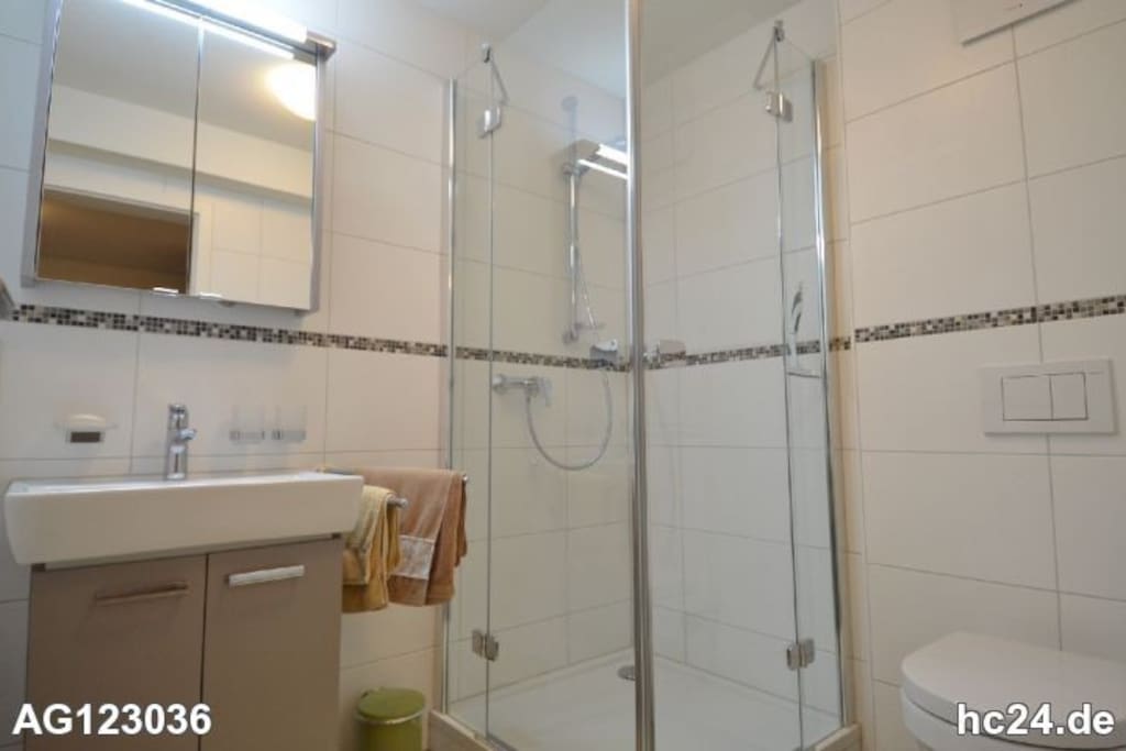Modernes Duschbad, hochwertige sanitäre Installationen.