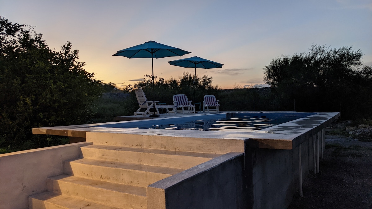 A serene swimming pool is framed by lush greenery under a soft twilight sky. Two blue umbrellas provide shade over the lounge chairs positioned on the pool deck. Steps lead from the pool to the surrounding area, inviting relaxation and comfort.