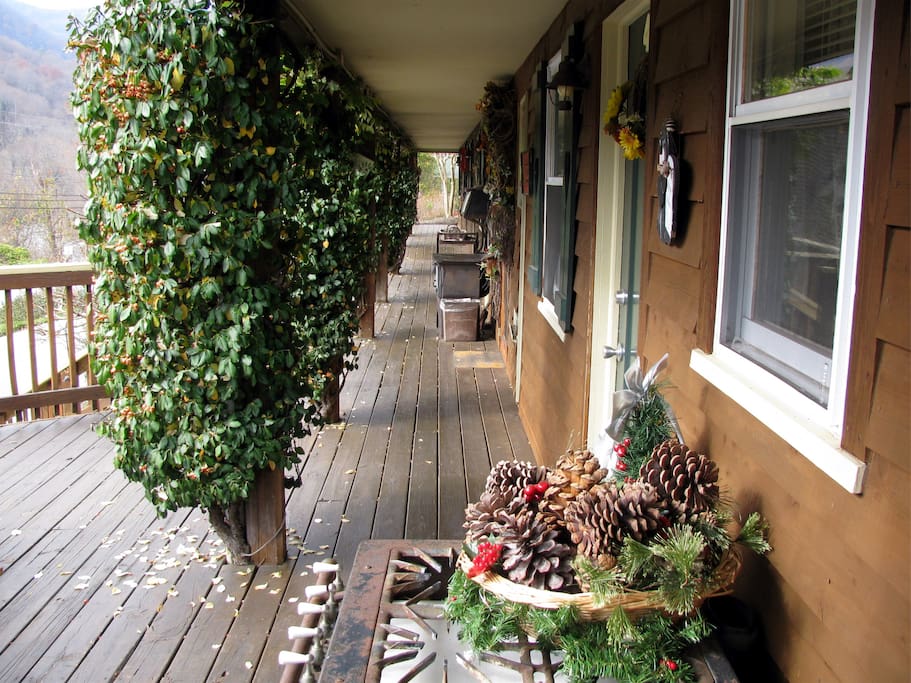 Greening of the Deck