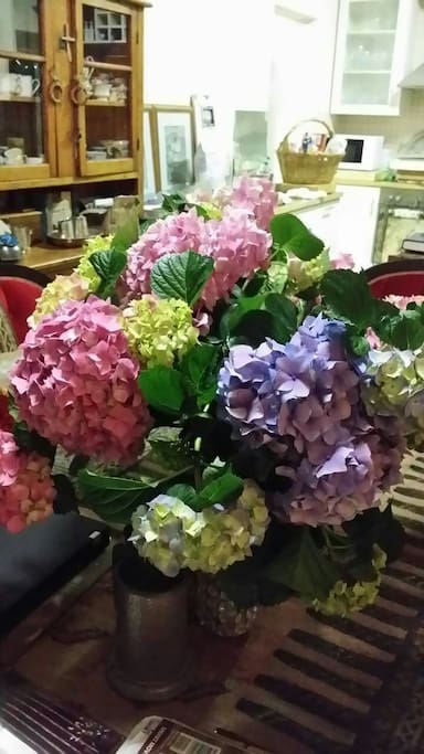 Always fresh flowers to enjoy.