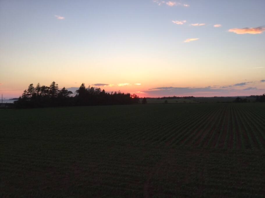 Sunset views