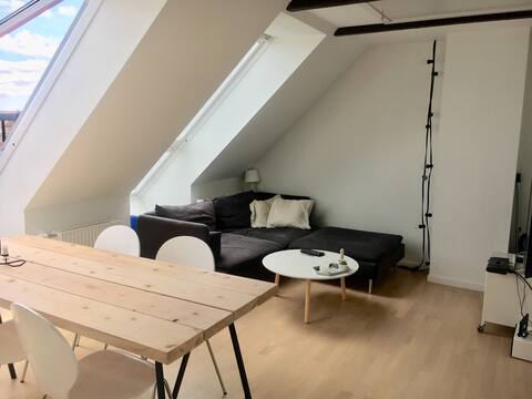 Small cozy city apartment