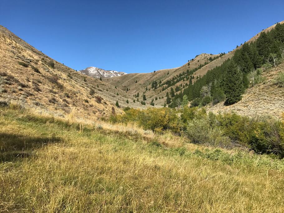 A view from the deck