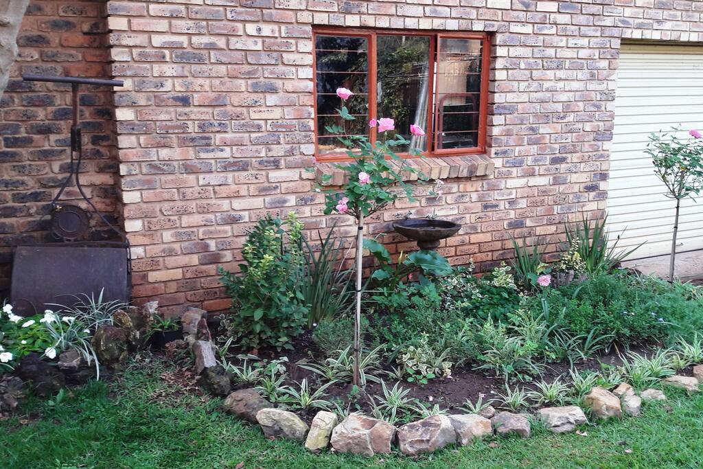 Rose garden with birdbath