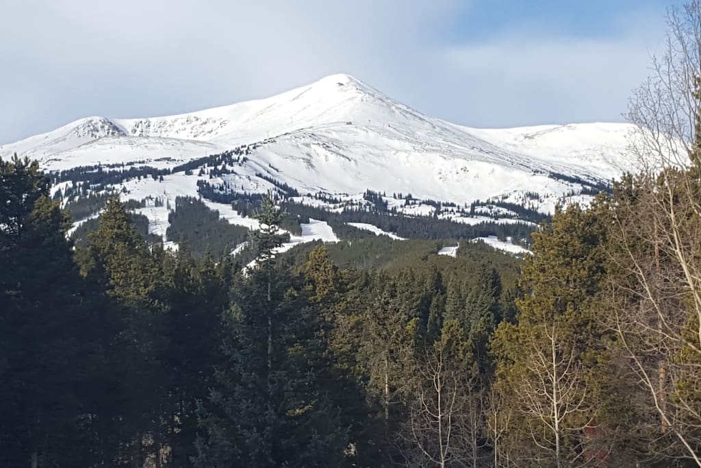 View from the front steps