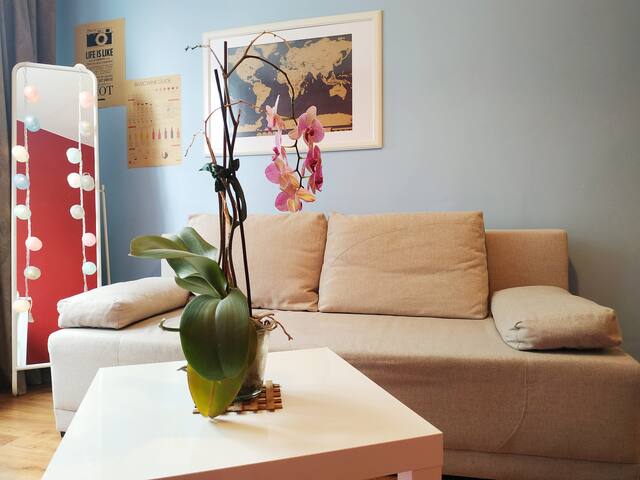 Central & Comfortable Studio near River