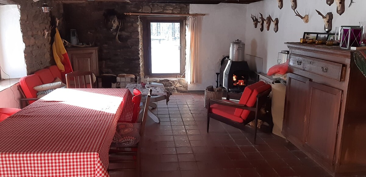 Successful Airbnb property: Secluded 6-bed charming retreat in La Roche En Ardenne