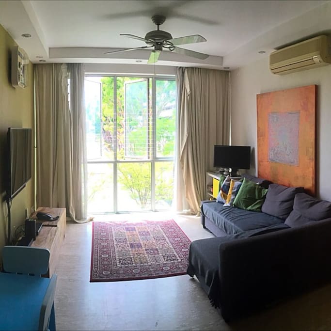 Common living room area with 55" screen cable TV