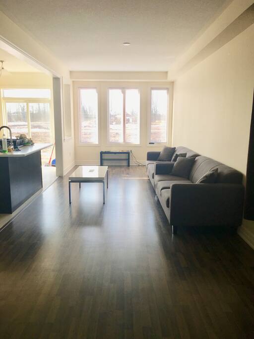 spacious living area with bright windows and lots and lots of sunshine