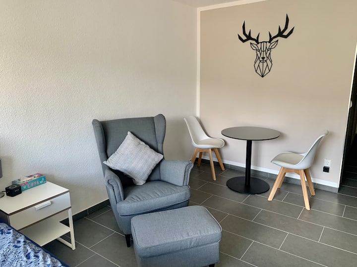 Stilvolles Apartment In Stuttgart Mitte - Stuttgart