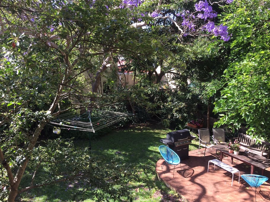 Leafy garden with direct access from kitchen