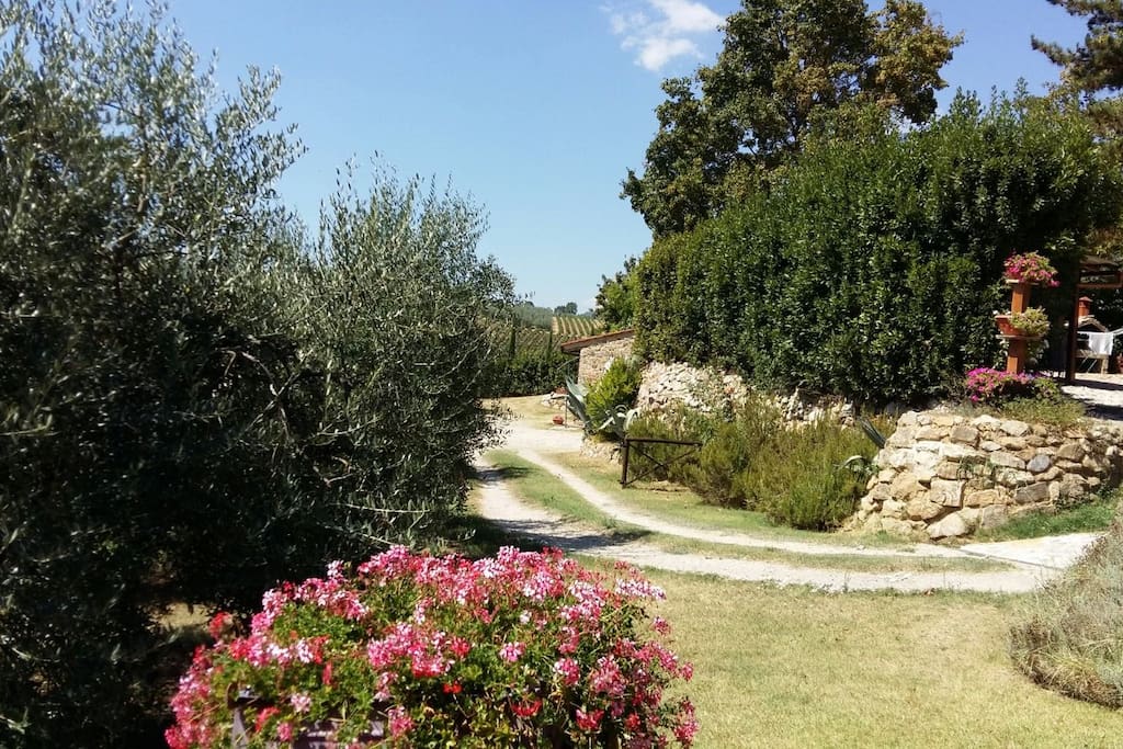 Green space around the house
Spazio verde intorno alla casa